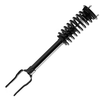 Complete Strut Assy With Spring