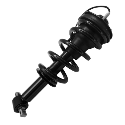 Electromagnetic Strut Assy With Spring