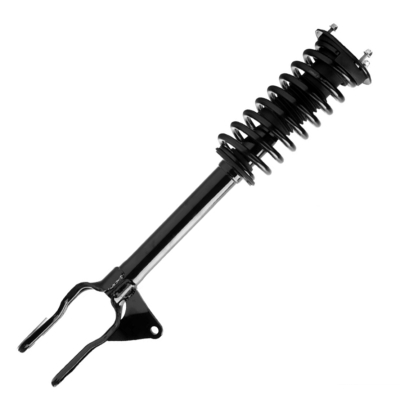 Complete Strut Assy With Spring